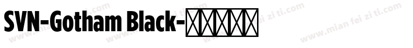 SVN-Gotham Black字体转换